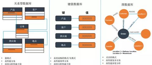 数字化转型进行时 tigergraph图技术能否成为新宠儿